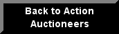 Action Auctioneers Inc.